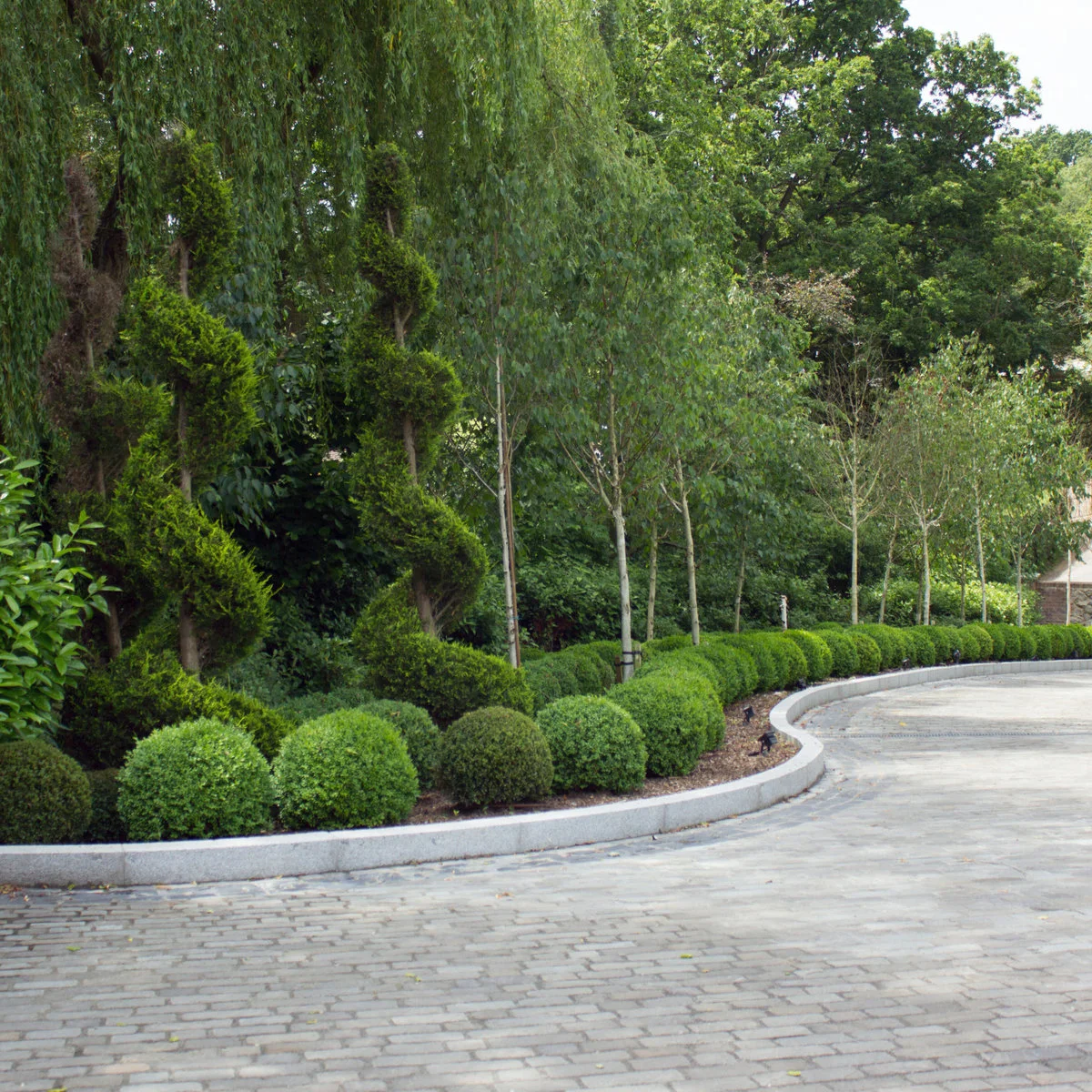 Pale block driveway curving beside a line of rounded green shrubs and slender trees.