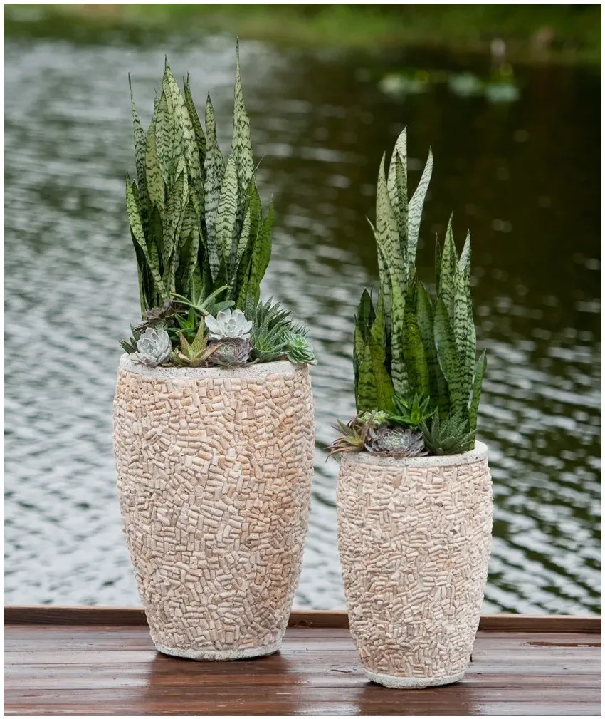 Two pale textured containers of different heights with upright patterned green leaves and small succulents around their bases.