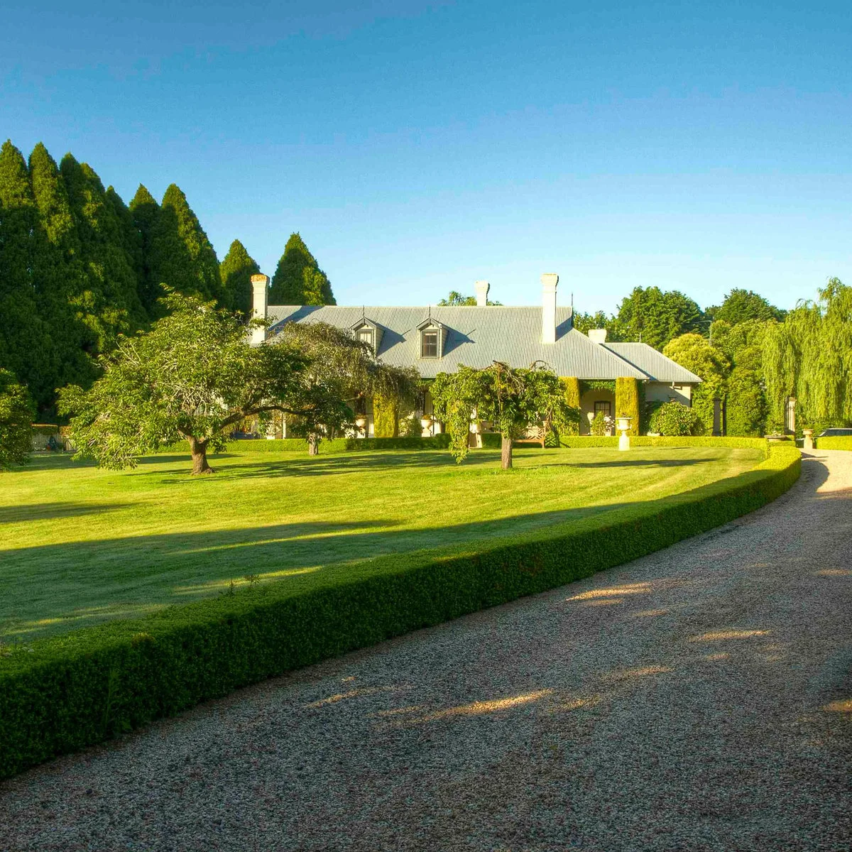 Gravel driveway curving beside a broad lawn with a low clipped hedge and several small trees.