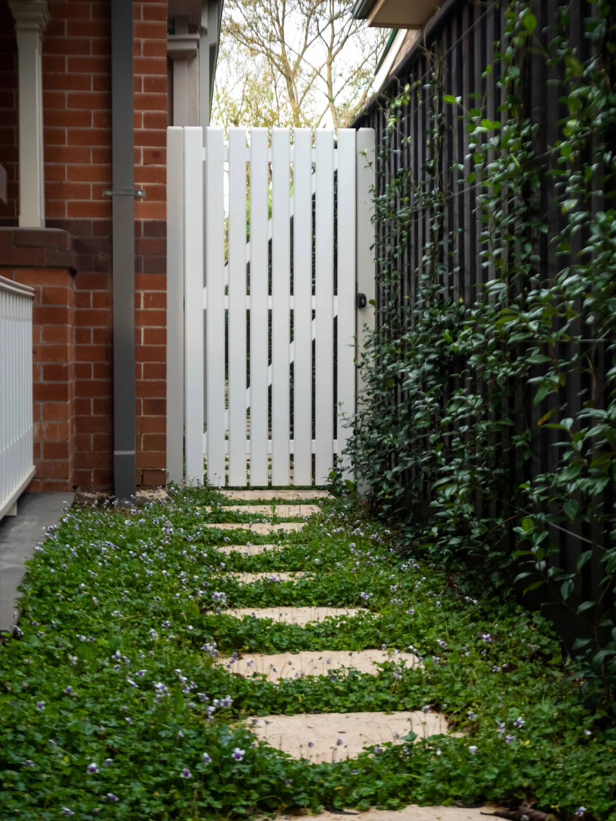 Rectangular pale slabs lead to a white gate through low green ground cover with small purple flowers