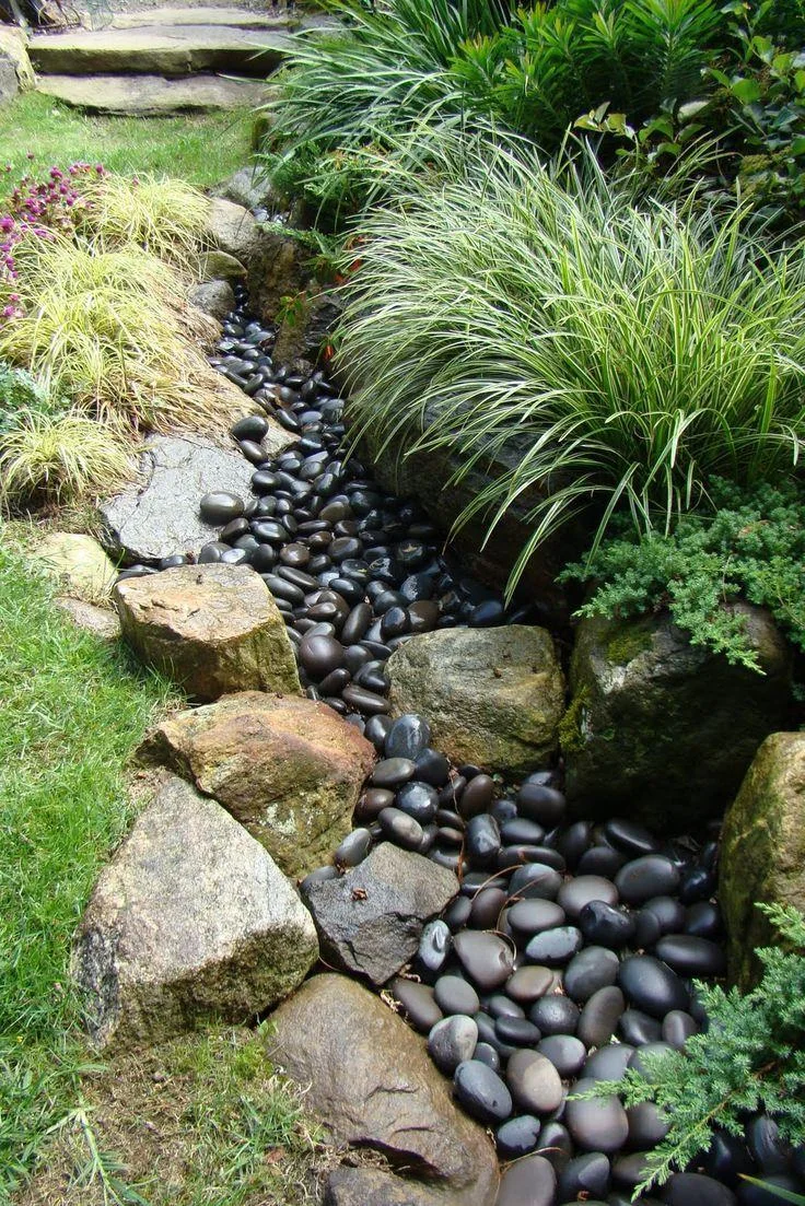 Dark glossy rounded stones lie between large rough boulders and tufts of fine green foliage