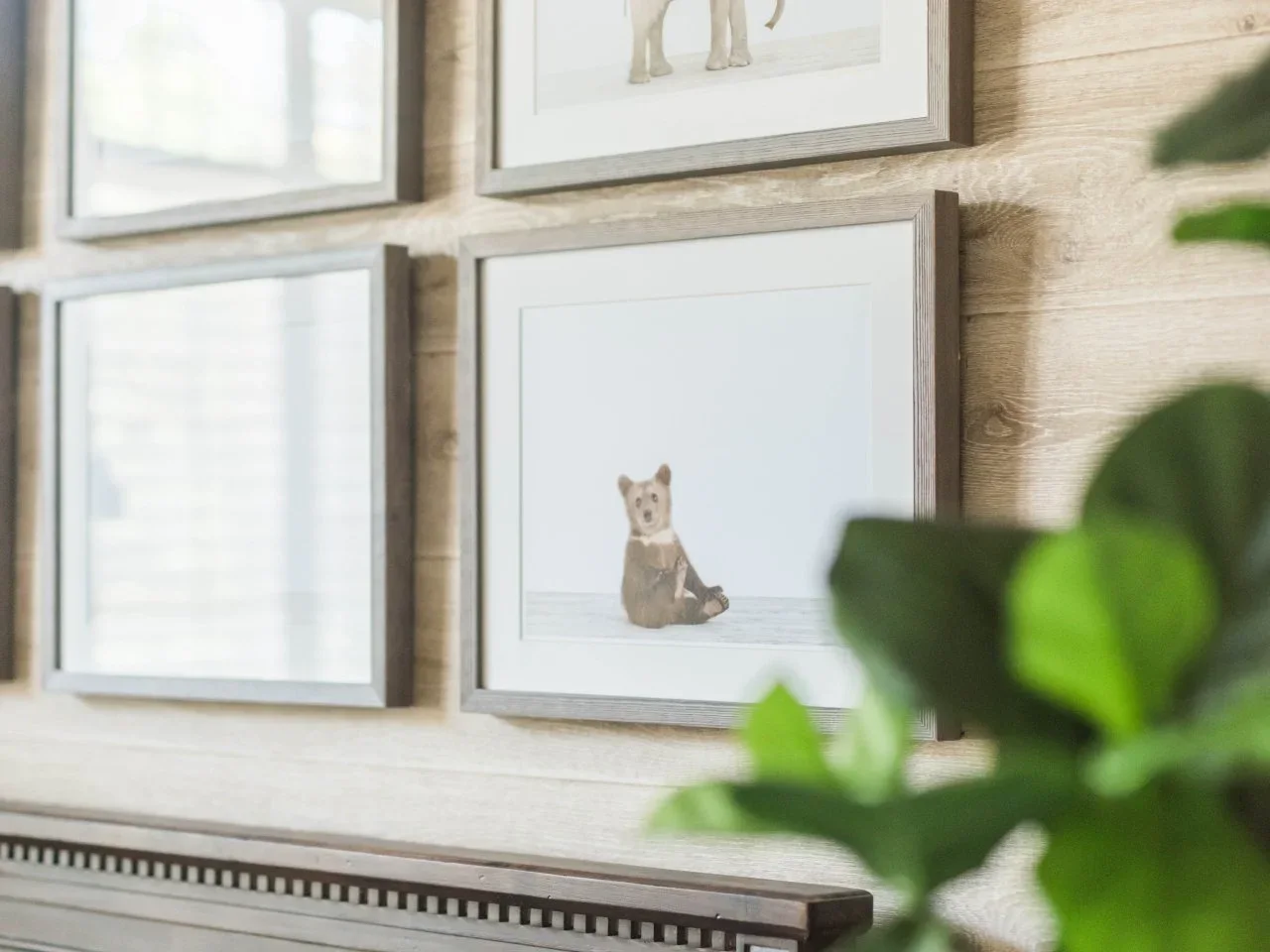 Small animal illustrations in matching gray-toned frames hang in a grid against a pale timber-look wall.