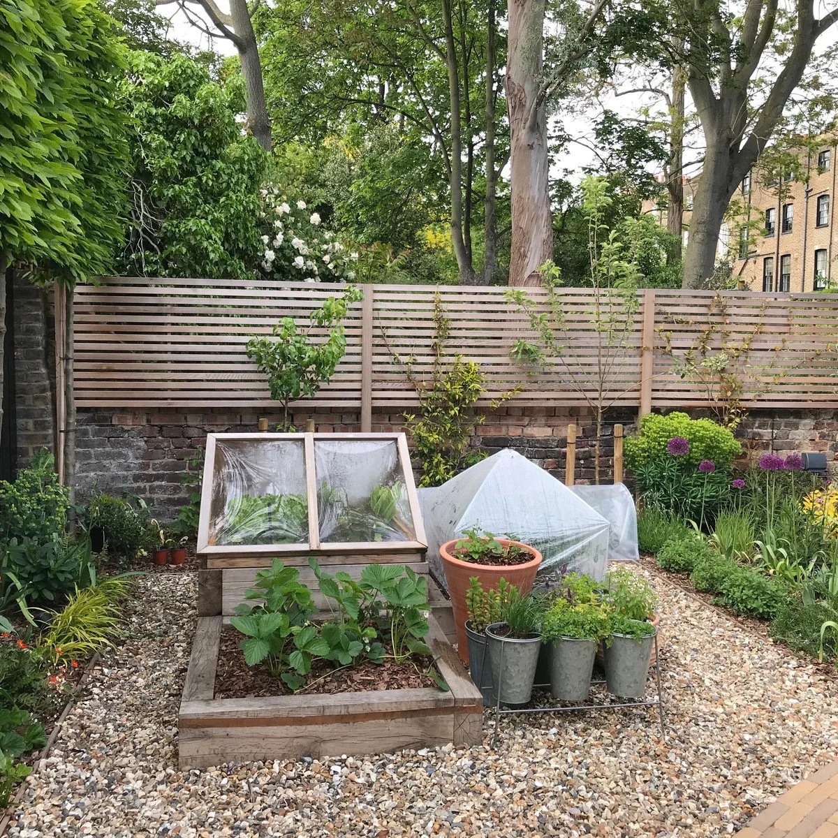 Small wooden growing beds with a sloped clear cover, a mesh-covered frame and herb pots on a gravel area.