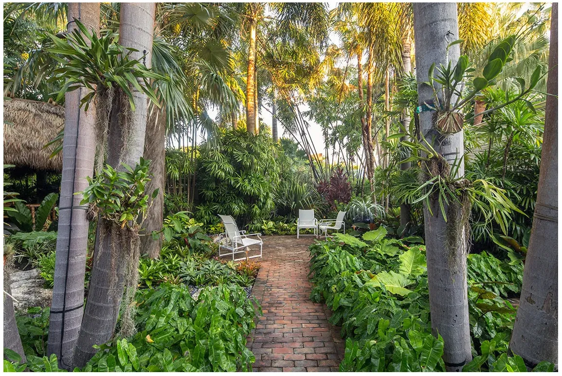 A brick path opening into a small sitting area with white chairs, tall palms and broad green plants on either side.