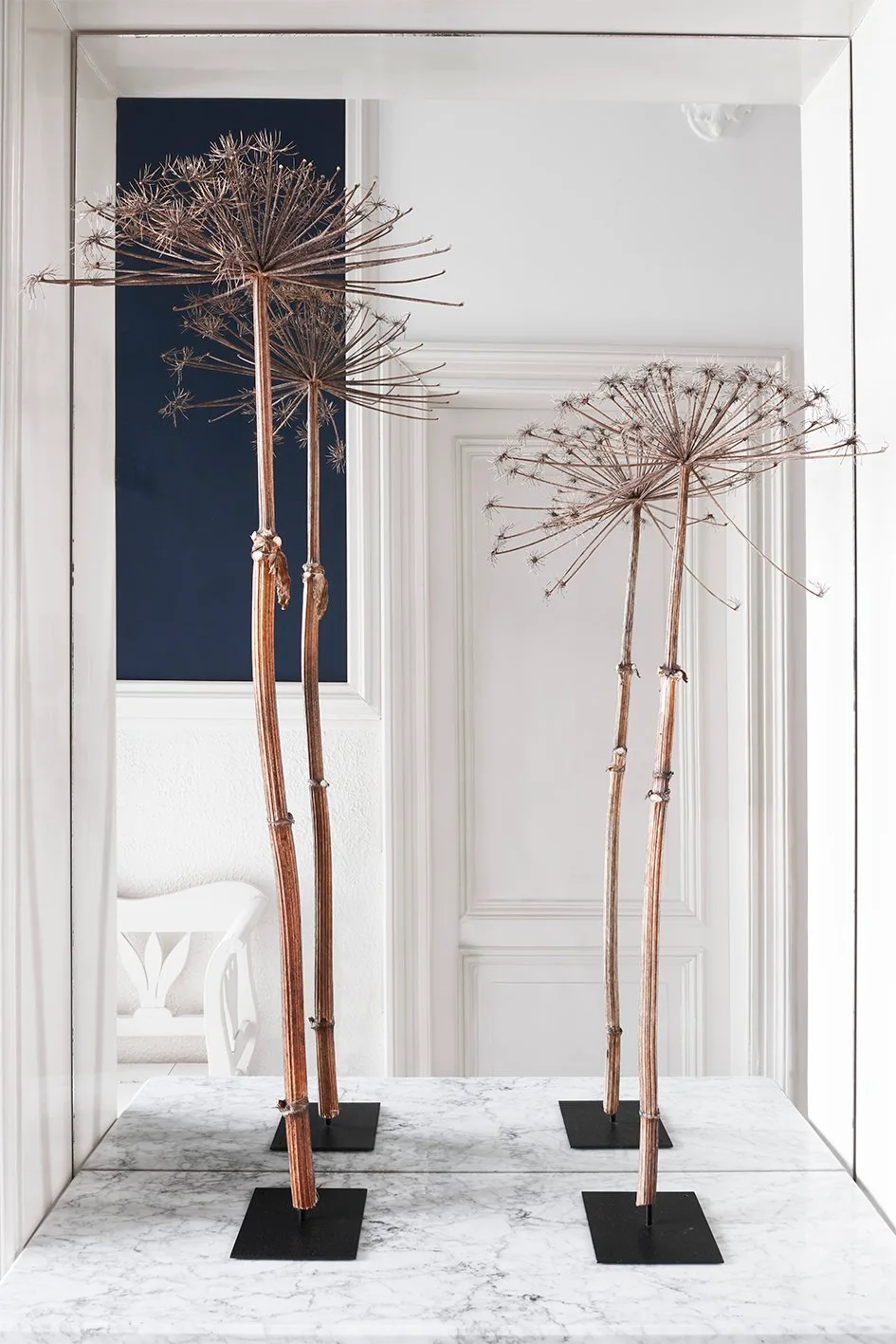 Tall dried seed heads stand on small black square bases in front of a large pale-framed mirror, with their reflections visible behind.