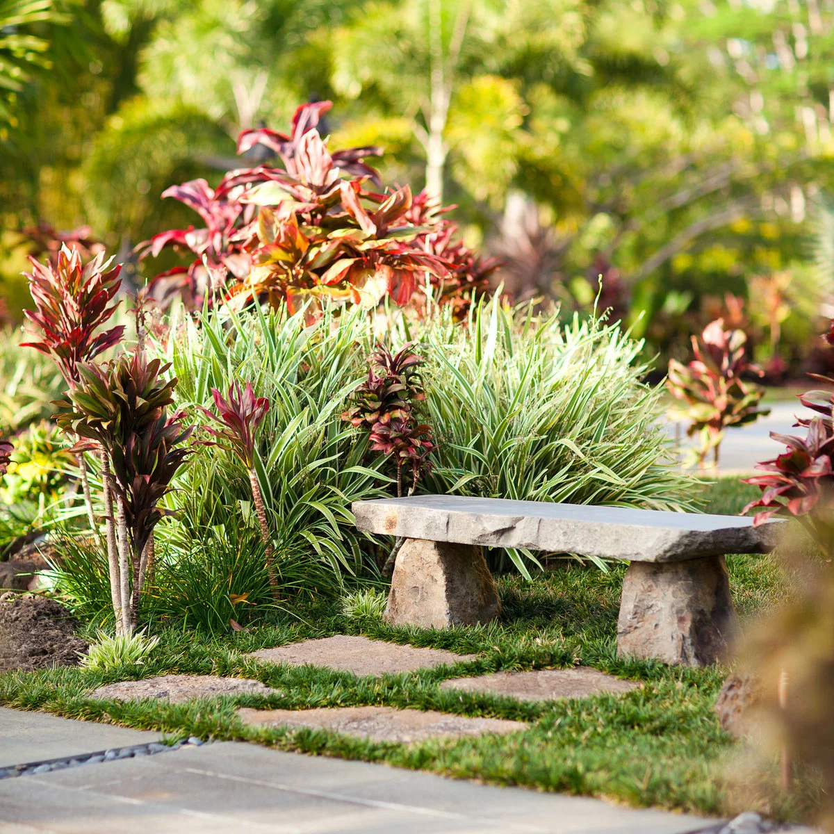 A broad pale slab bench sits beside a paved path among narrow striped leaves and taller red-toned foliage.