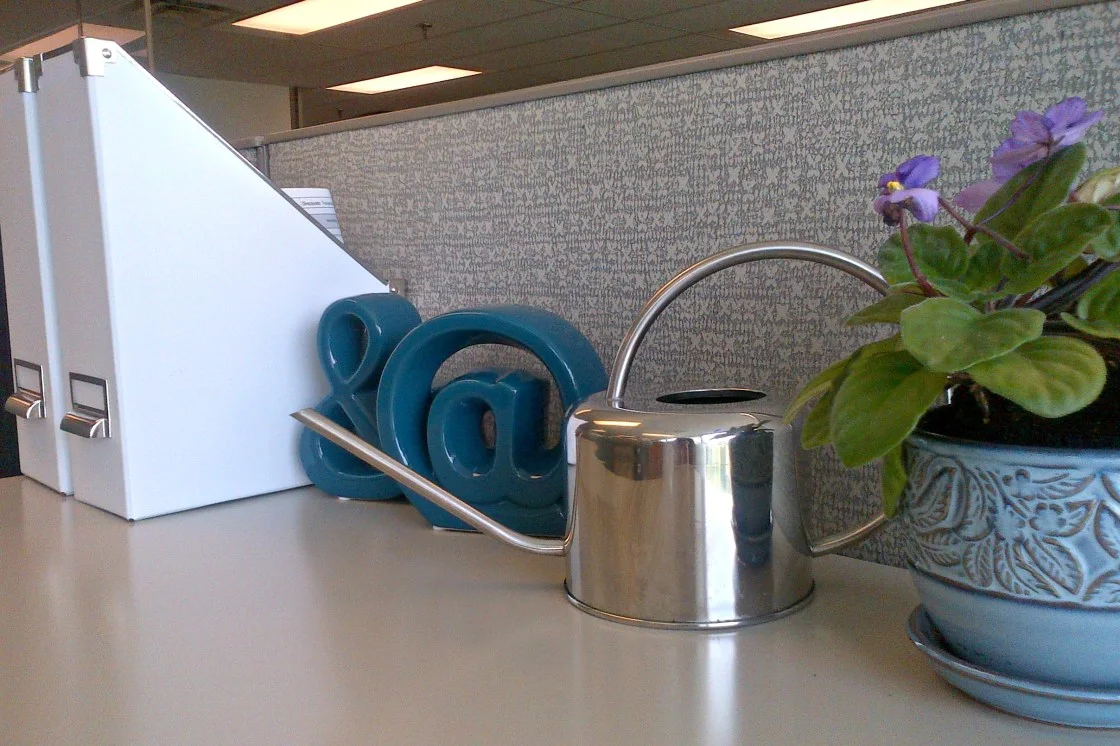 White magazine files beside blue decorative symbols, a small watering can and a flowering plant in a blue patterned pot on an office cabinet.