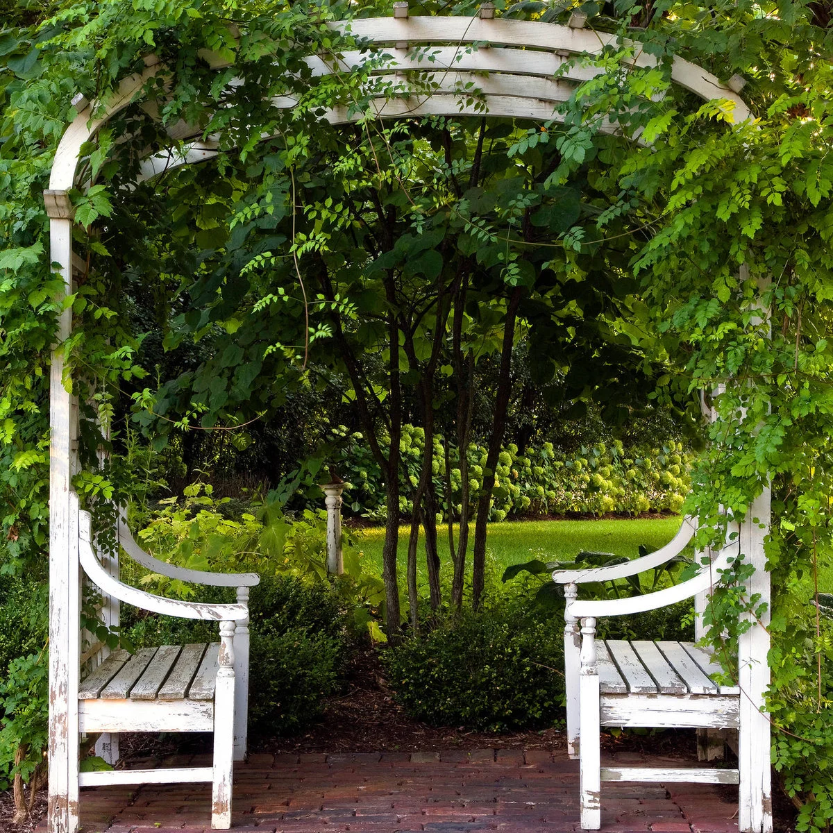 Two white wood seats face one another beneath an arched trellis covered in greenery above a brick floor.