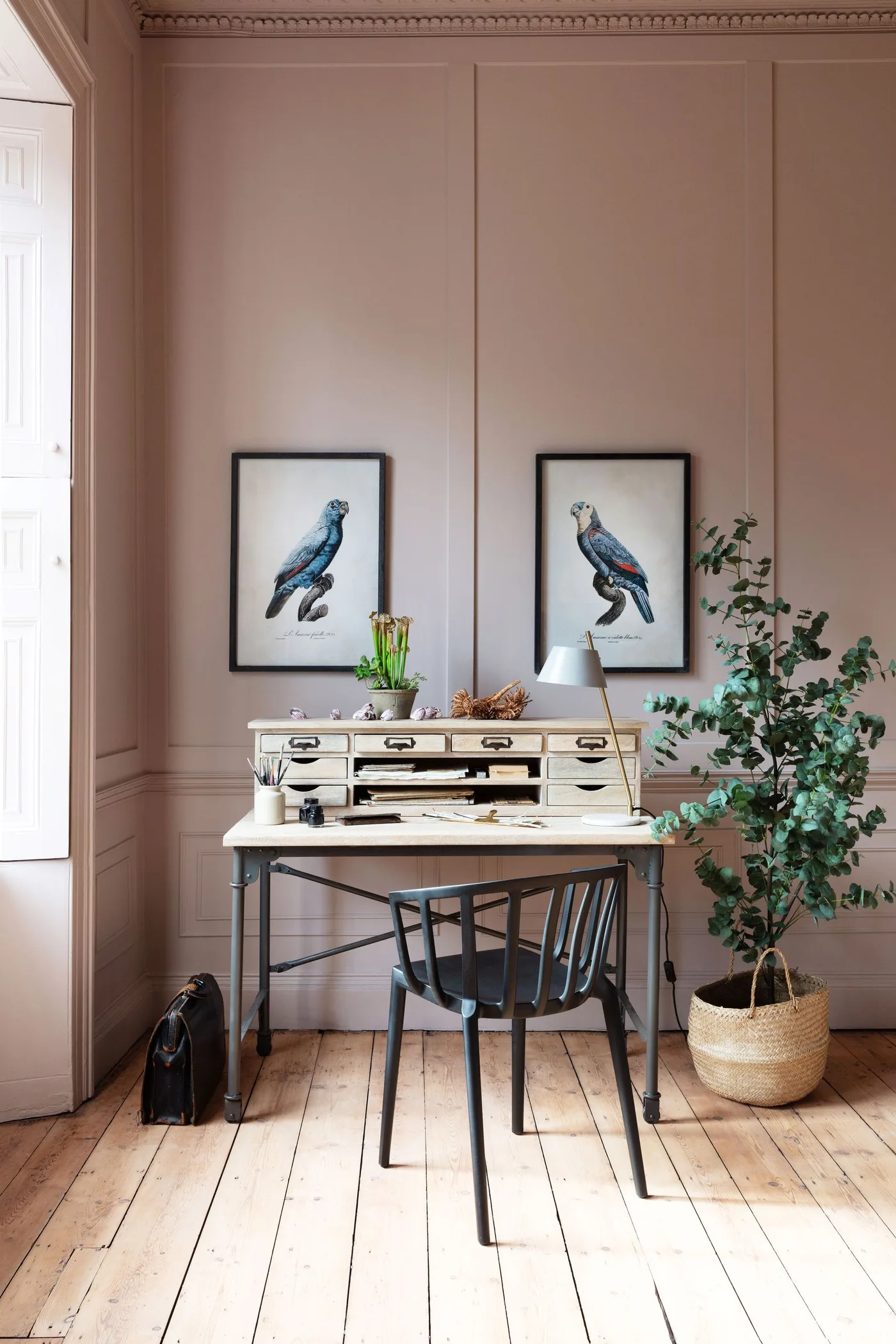 Soft pink office corner with small drawer writing desk, dark chair, framed bird pictures and plant in woven basket