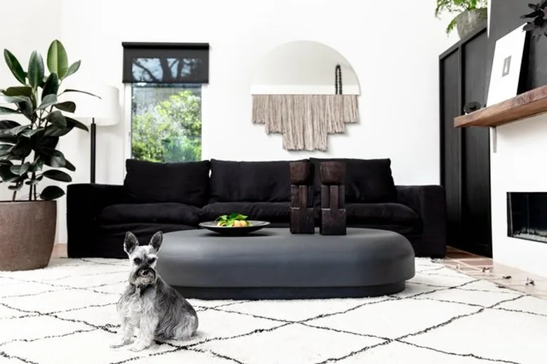 A black sofa and low dark oval table sit on a pale diamond-patterned rug, with a fringed half-round wall mirror and a tall leafy plant.