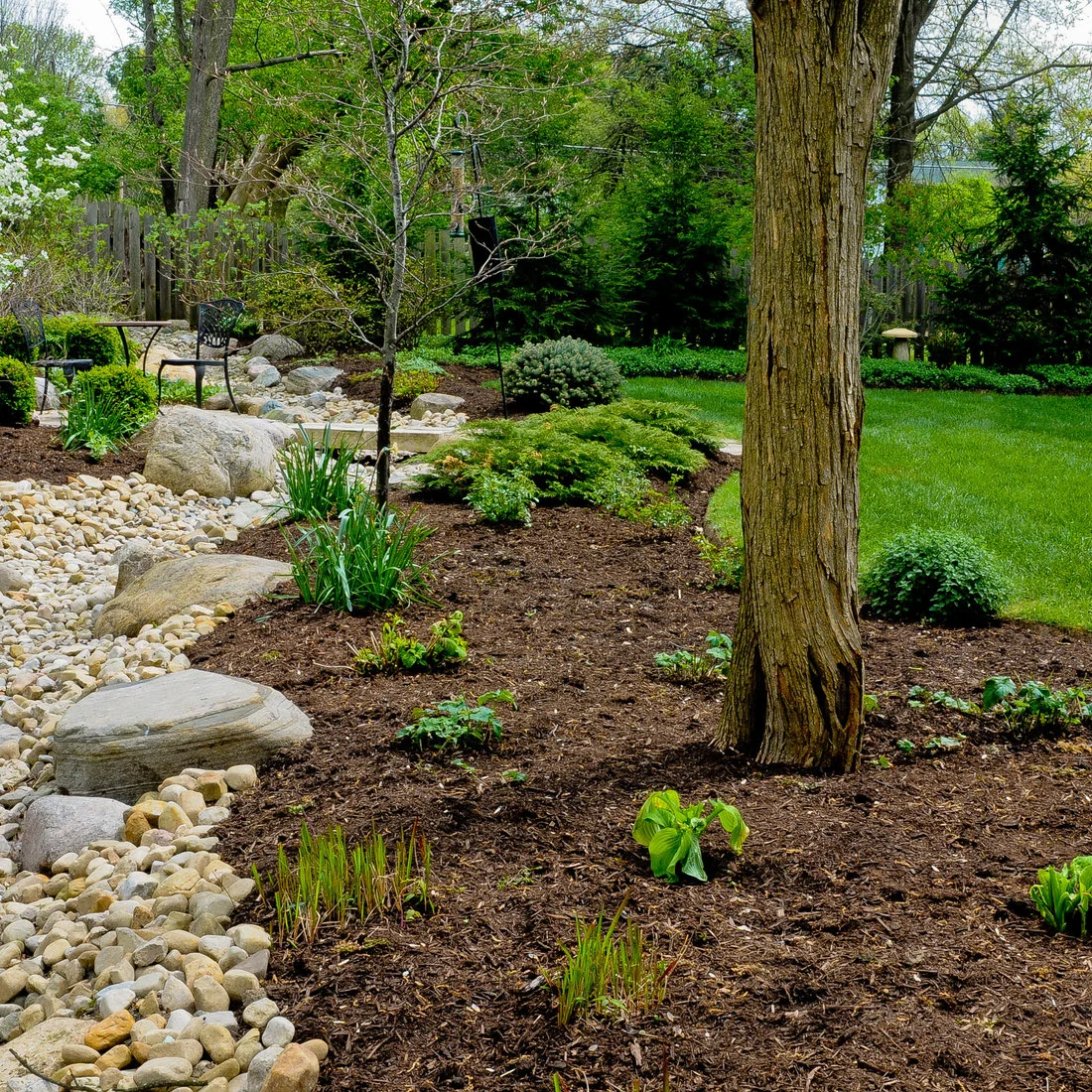 A winding pale-stone channel with flat crossing stones borders dark mulched beds and mature trees