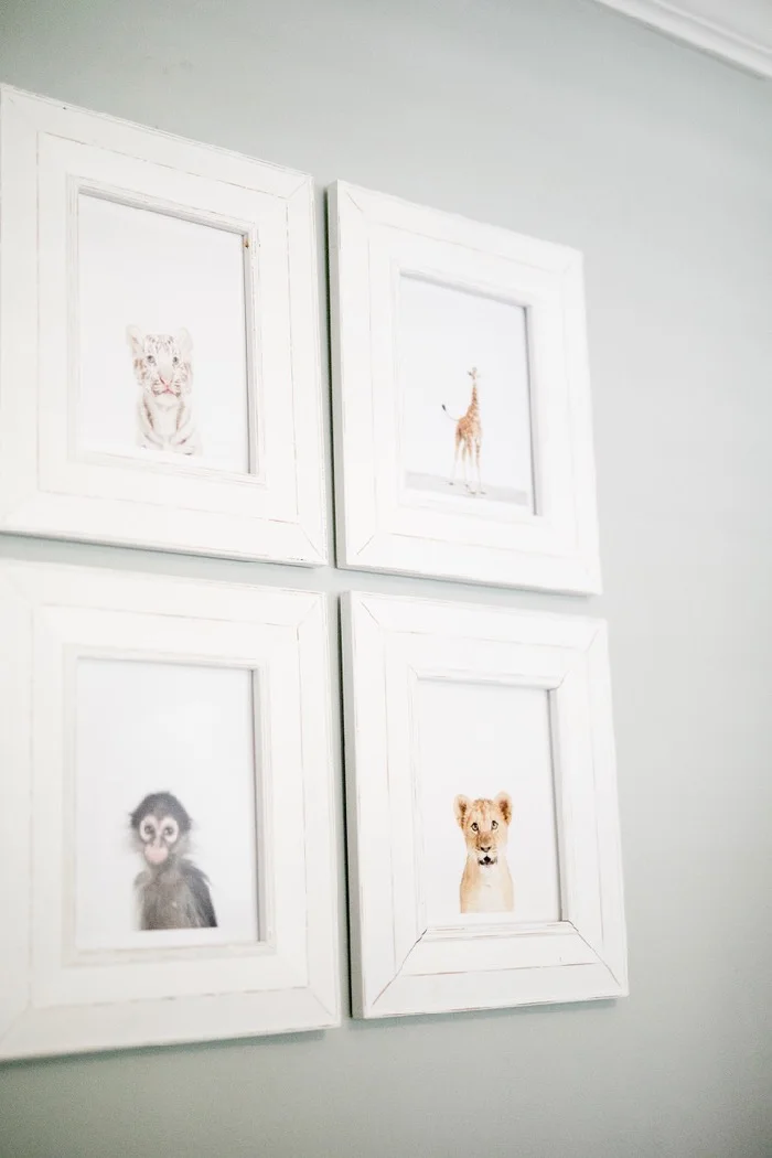 Four pale animal illustrations, including a giraffe, monkey and lion, hang in matching white frames on a gray wall.