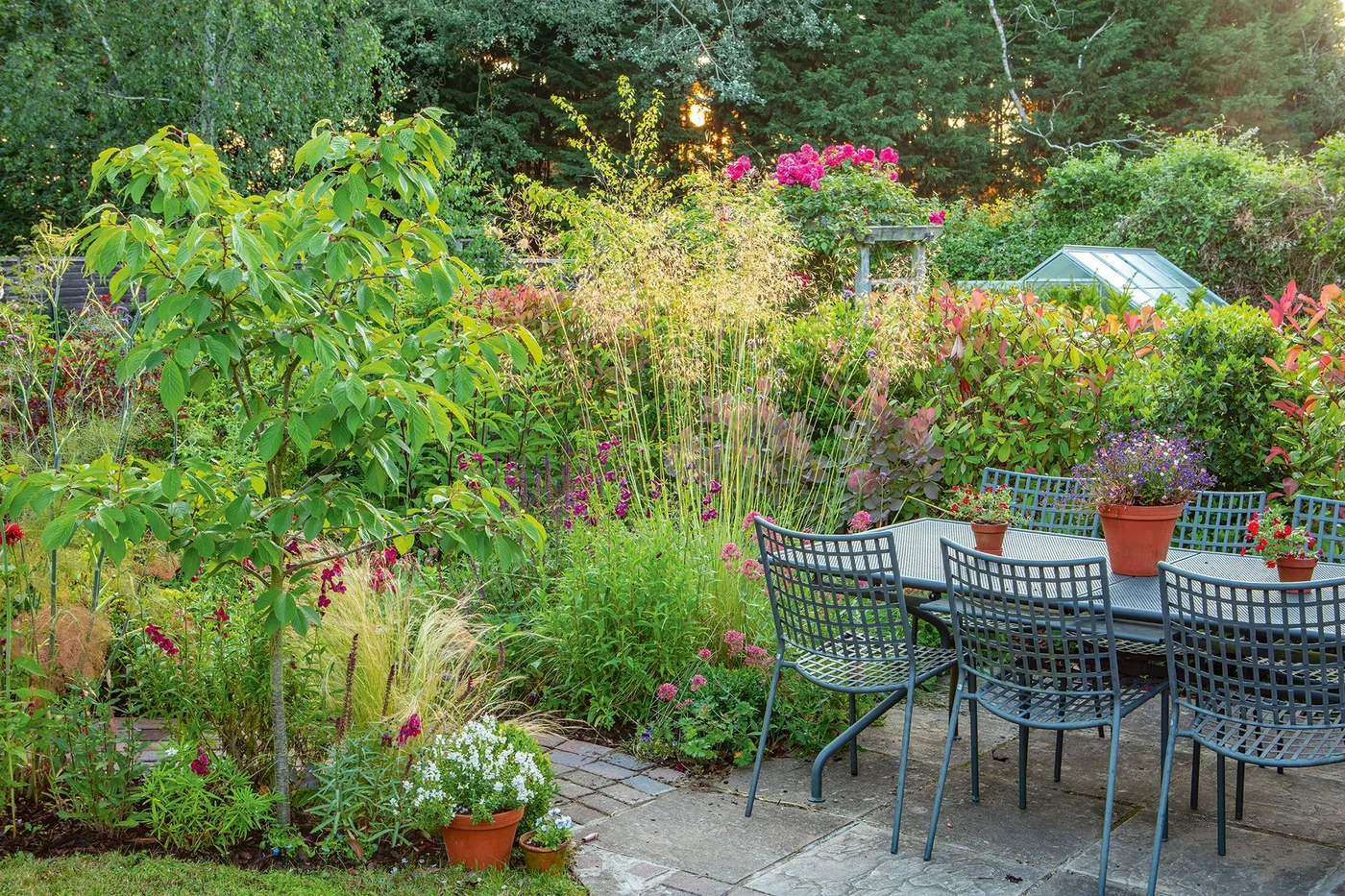 Blue-gray open-frame dining chairs sit beside a table surrounded by colorful cottage planting
