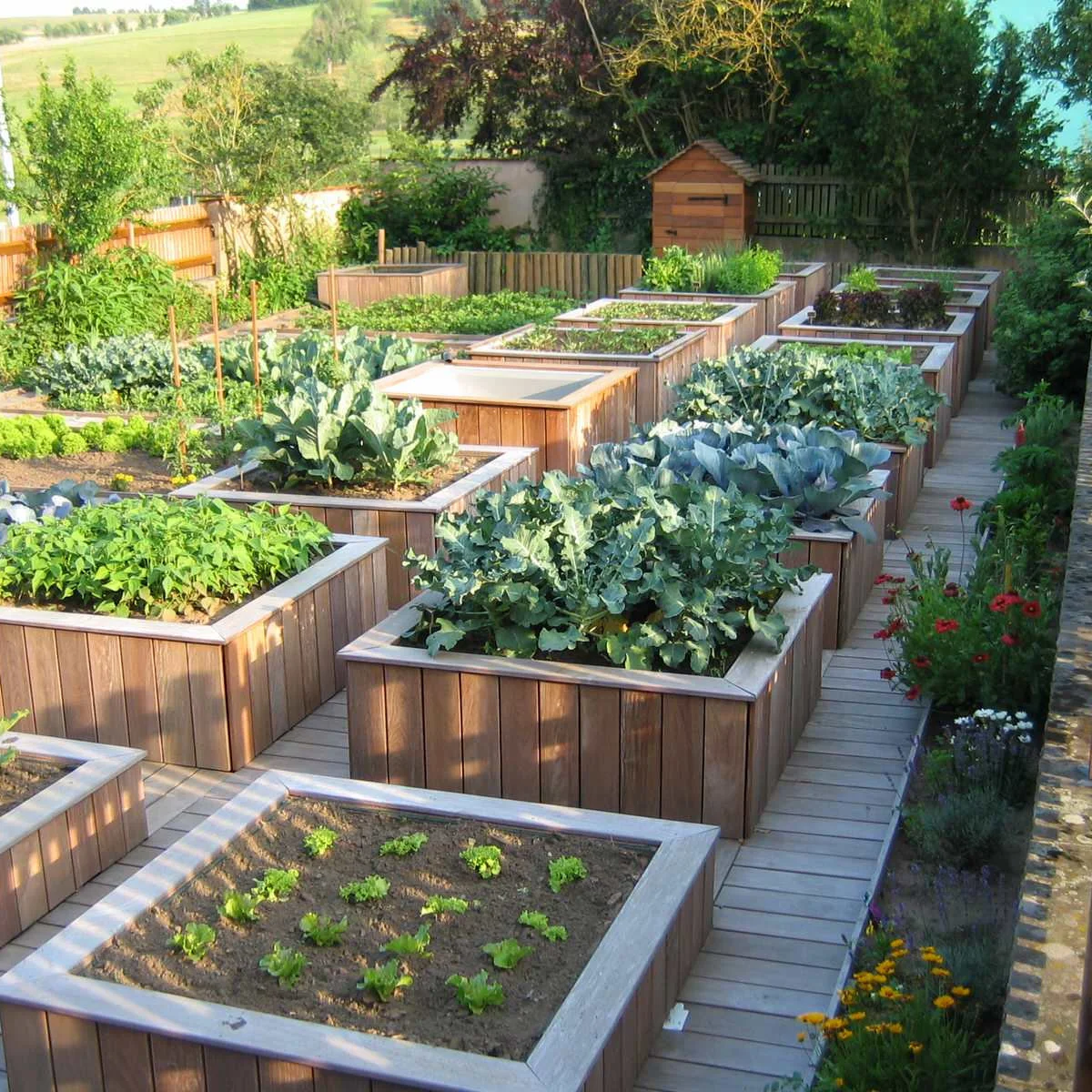 Tall square vegetable boxes with broad caps beside boardwalk paths and a flower border.