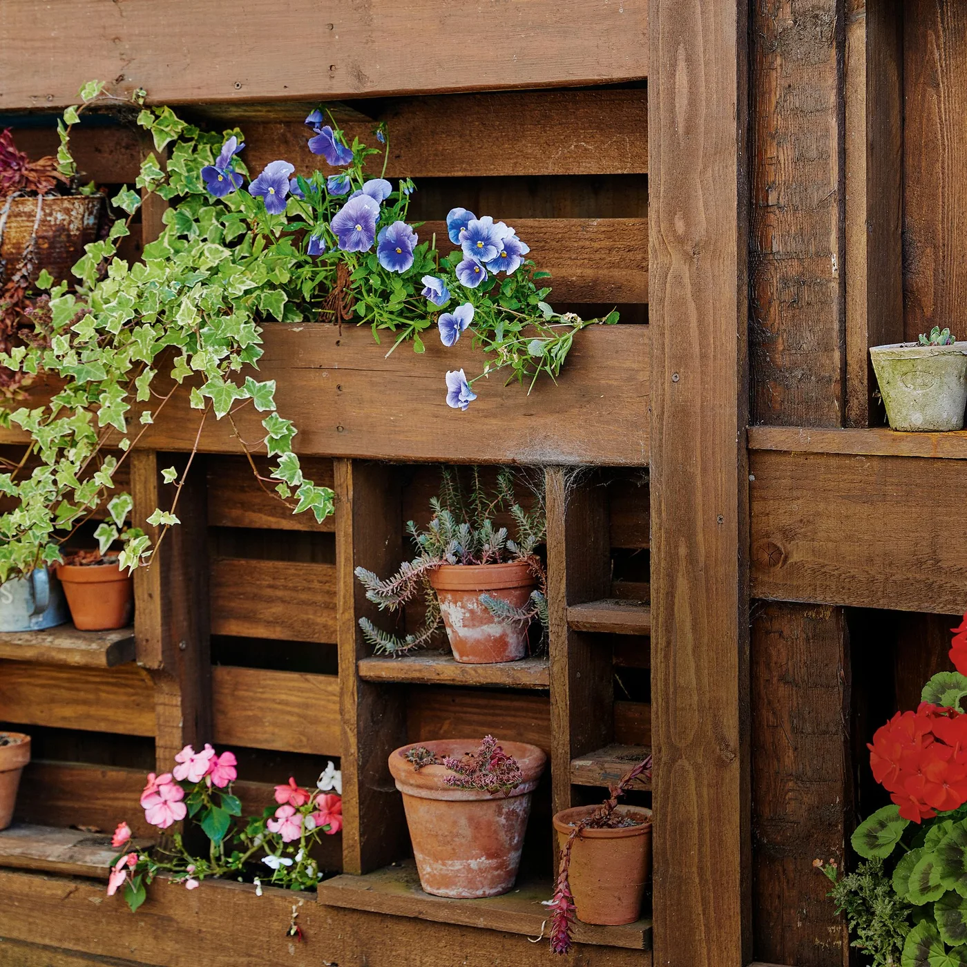 Small terracotta pots and trailing flowers occupy shallow timber planting shelves