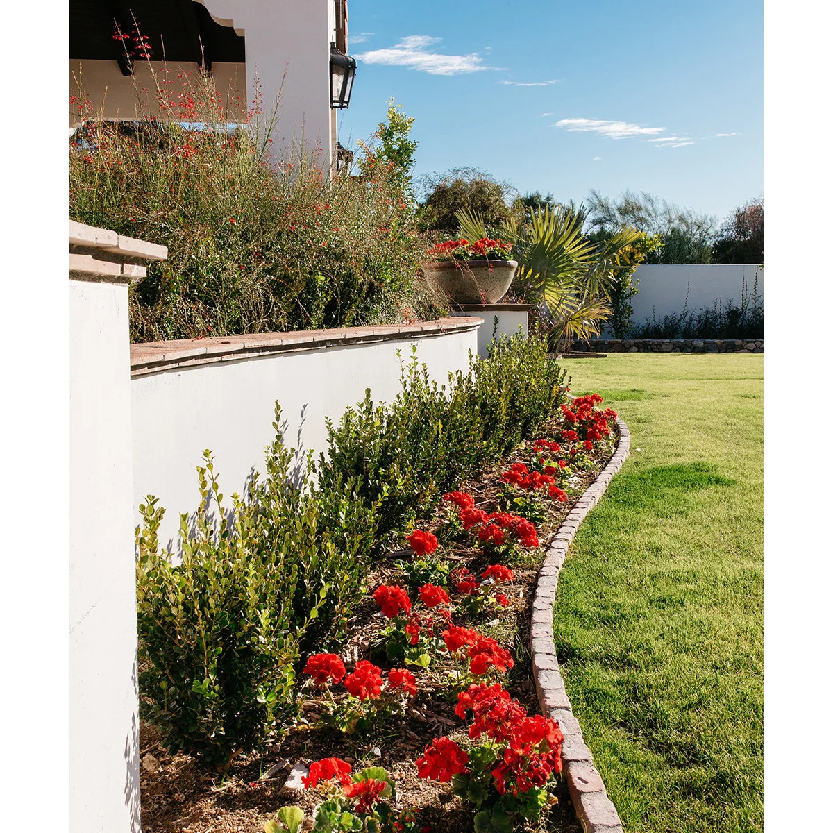 A single narrow brick edge follows a curved bed of red flowers and shrubs beside a lawn and white wall.