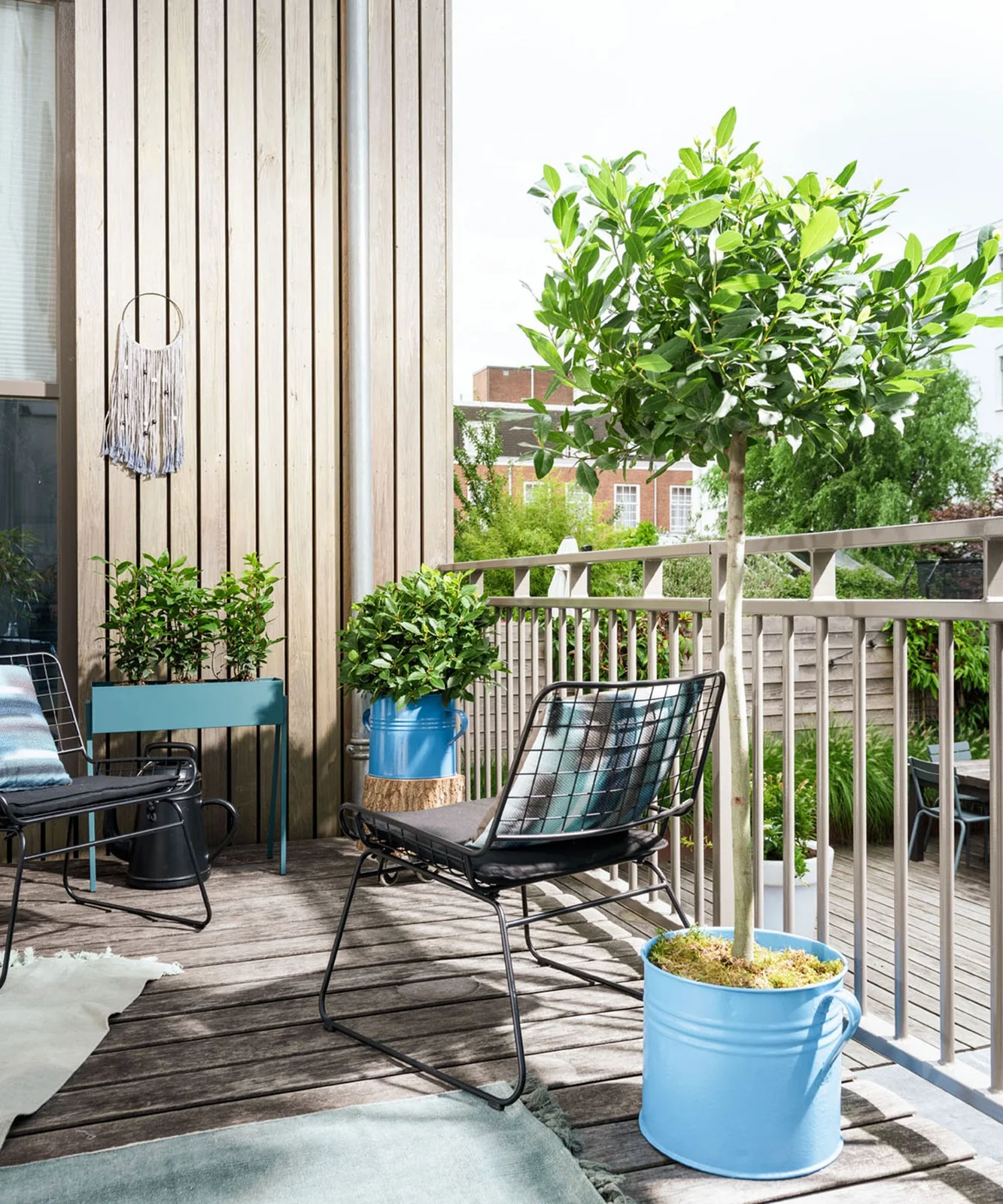 A potted tree with a leafy crown stands beside a black chair on a timber balcony