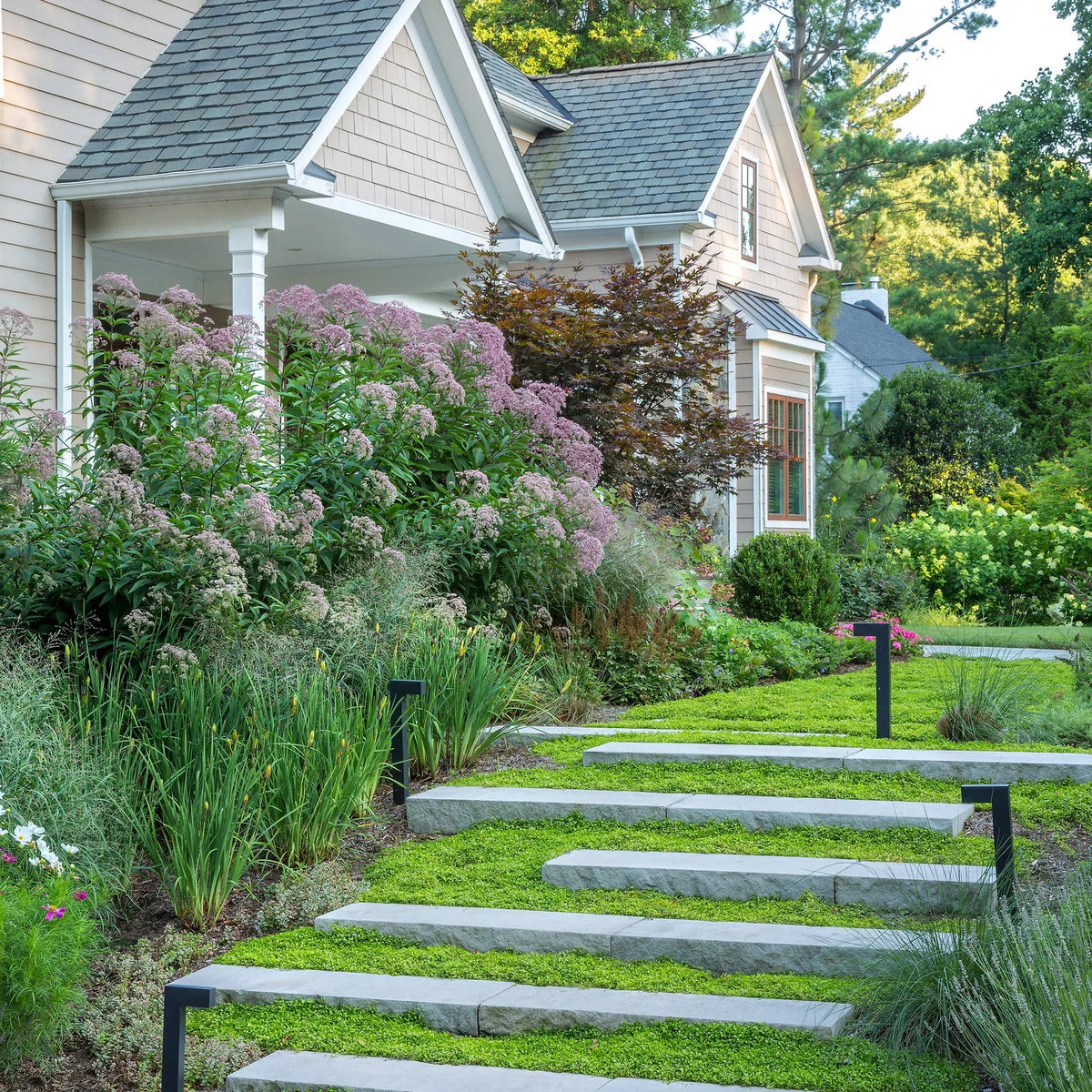 Stone garden steps rise beside tall pink flowers, fine-leaved grasses and lower groundcover near a gabled porch.