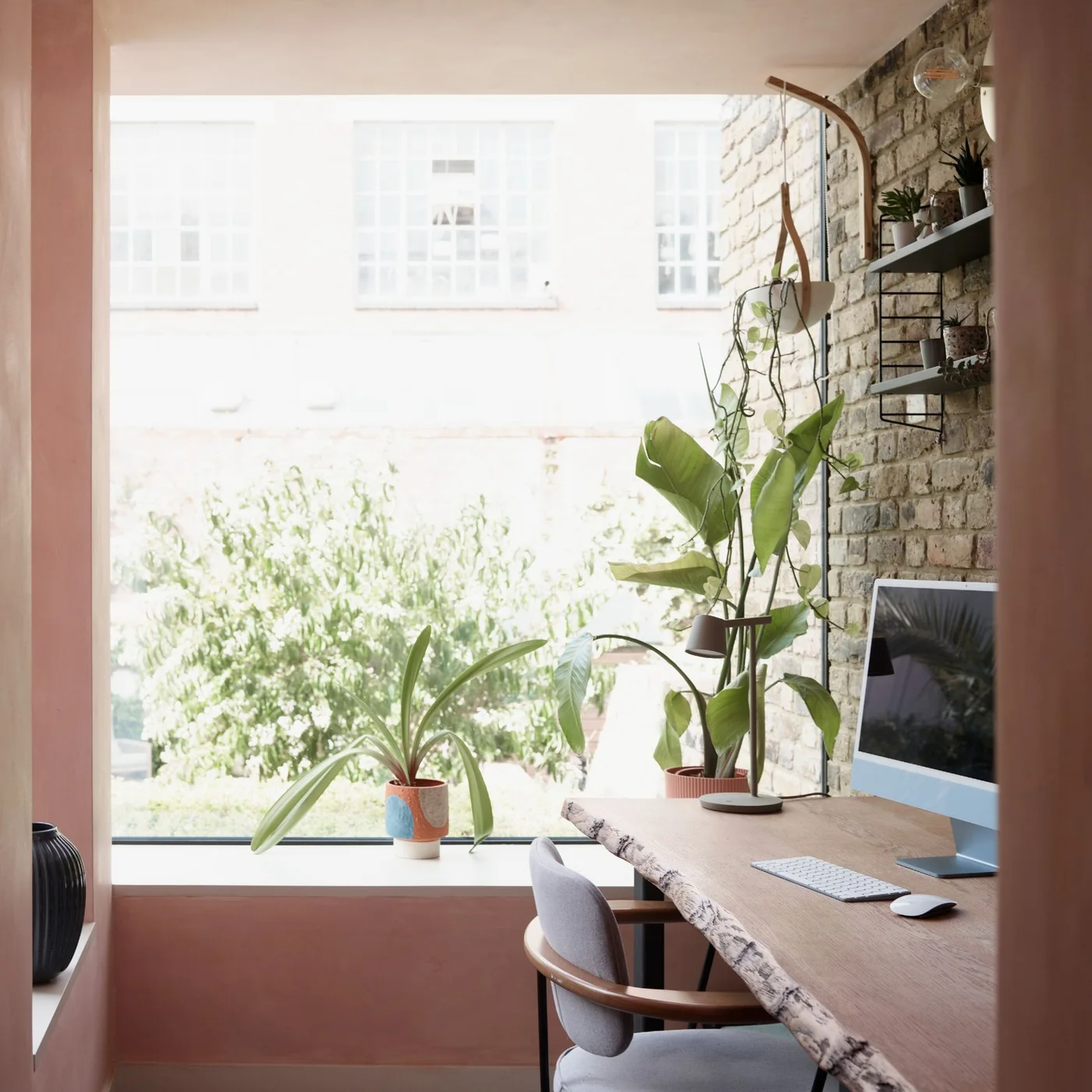 A pink office nook has a rough-edged wood desk, exposed brick, window-sill greenery, a tall leafy plant and small pots on open shelves above the monitor.