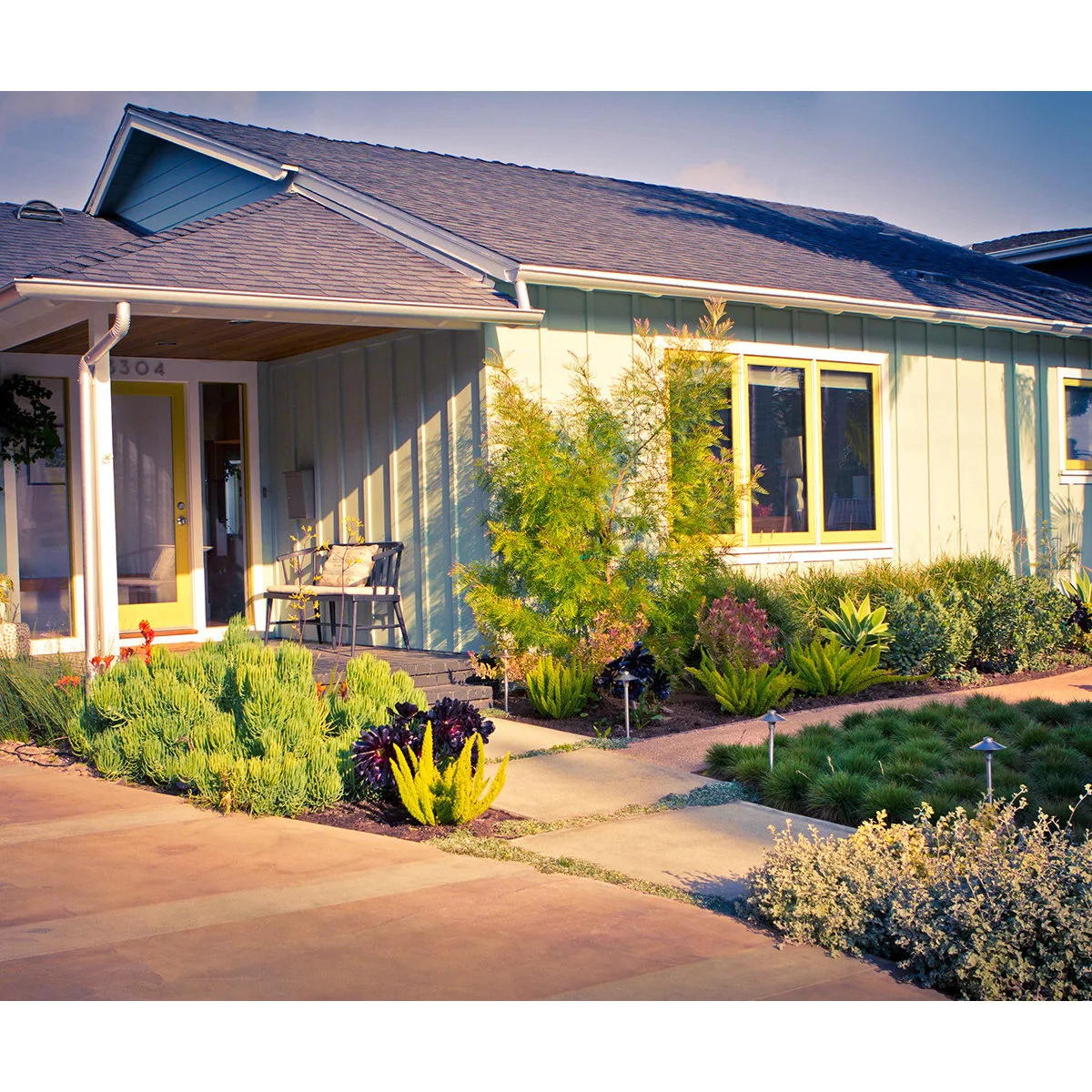 A green house with yellow trim overlooks mounded fine foliage, dark rosette-shaped plants and taller branching greenery.