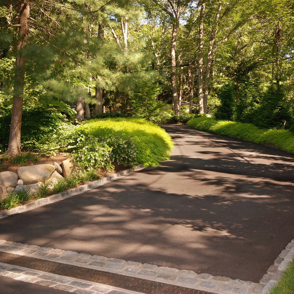 Dark curved driveway bordered by low grassy planting, pale flowers, stones and established woodland trees.