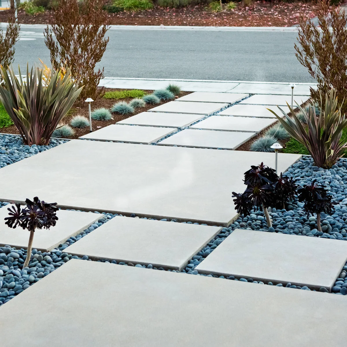 A broad square-paver path with gray pebble joints passes burgundy spiky leaves, blue-gray grass and yellow-green planting.