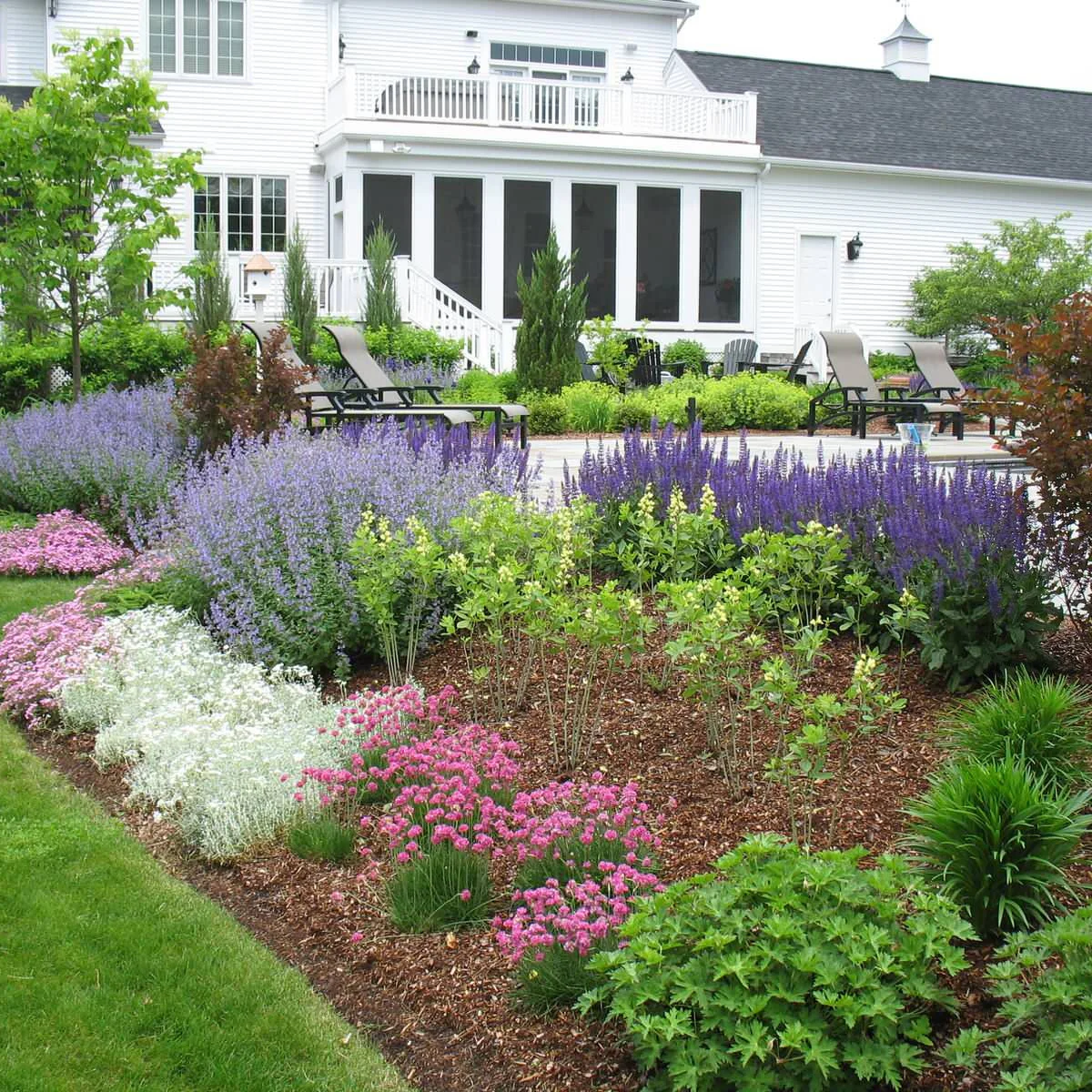 A mulched bed holds separated groups of pink, white and purple flowers beside a green lawn and poolside terrace.