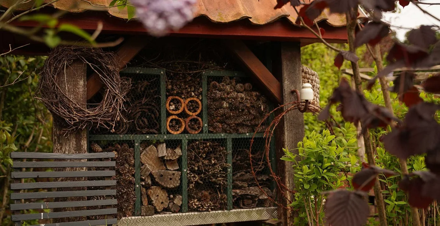 A roofed timber habitat structure contains drilled wood, short tubes, twigs and pinecones beside garden foliage