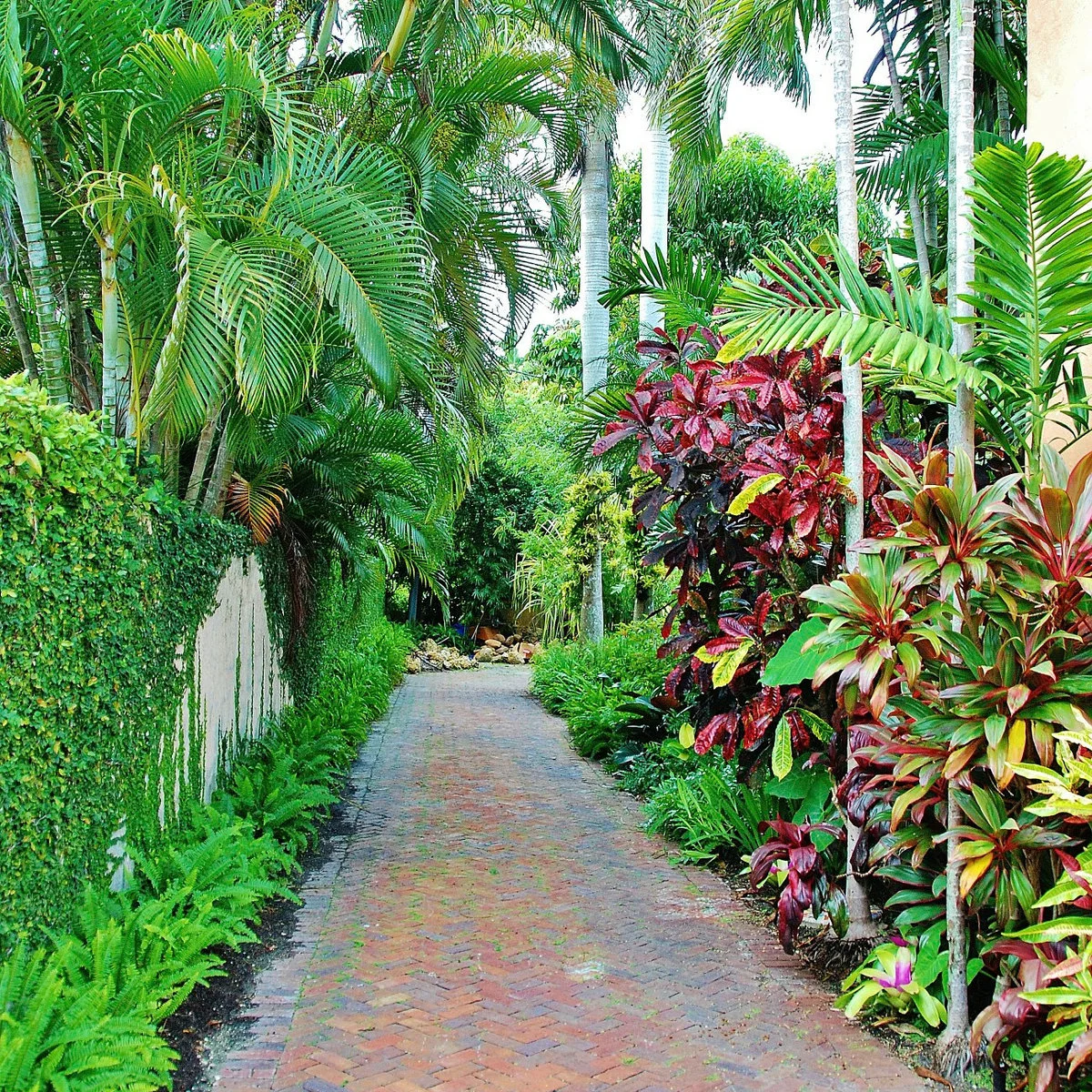 A brick garden path with palms and ferns, red and yellow foliage on one side and a green-covered wall on the other.