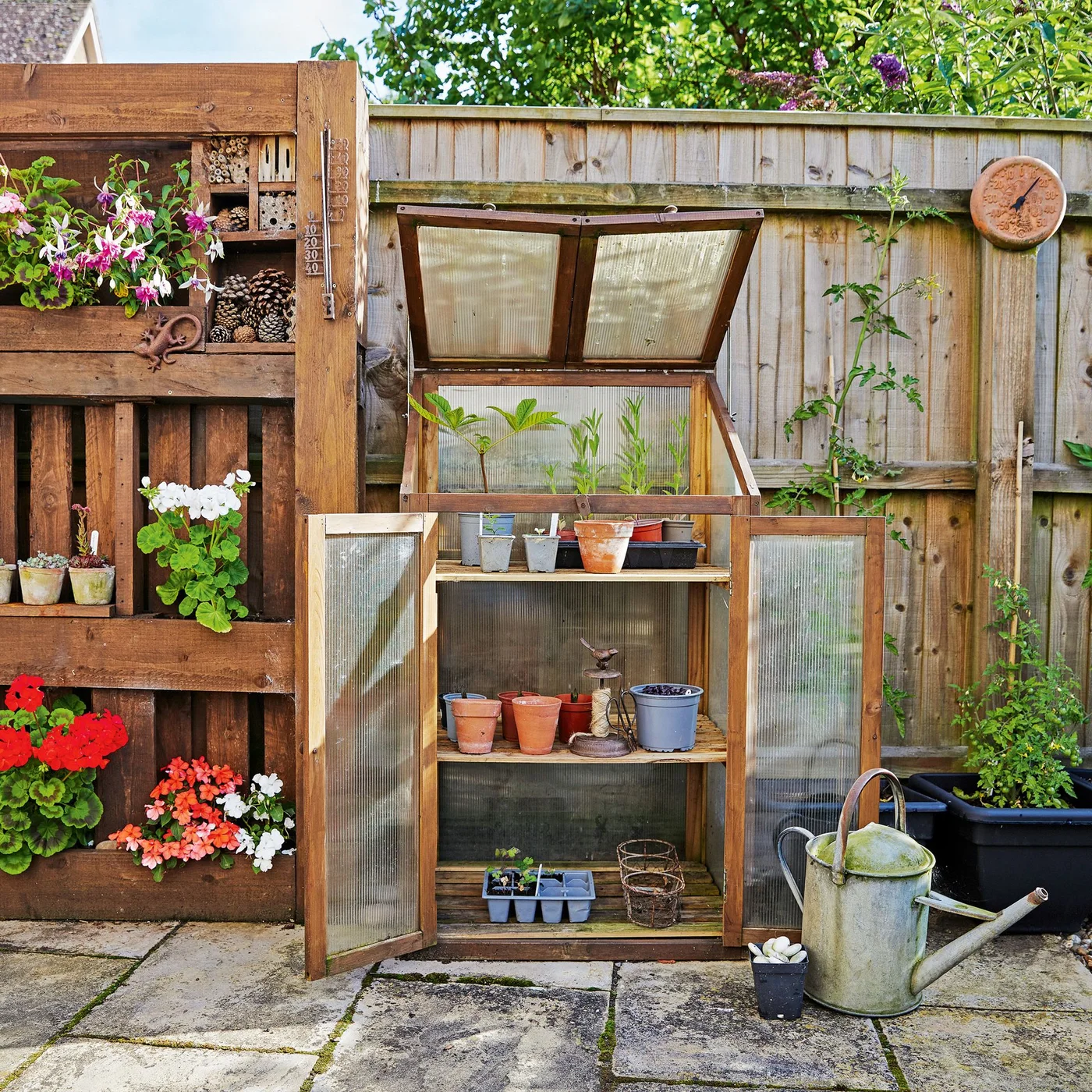 A narrow glazed growing cupboard with open doors stands beside garden shelves and small pots