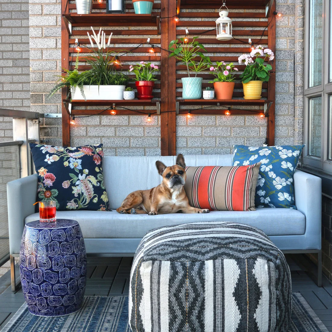 A pale blue sofa and a dog sit beneath timber shelves holding colorful planters on a balcony