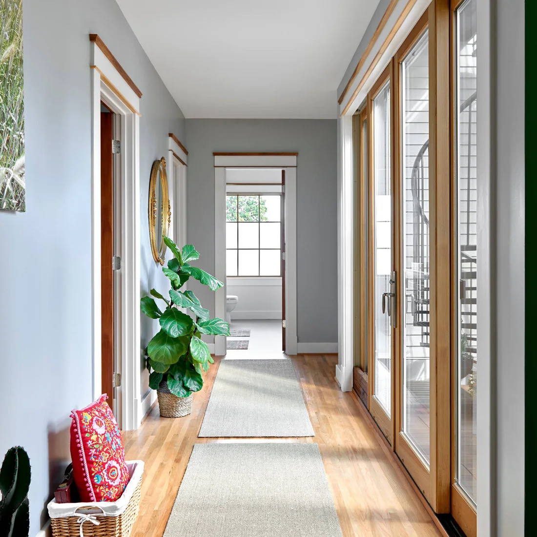 A gray hallway with tall glazed doors has wood trim, pale runners and a leafy plant beside interior doorways.