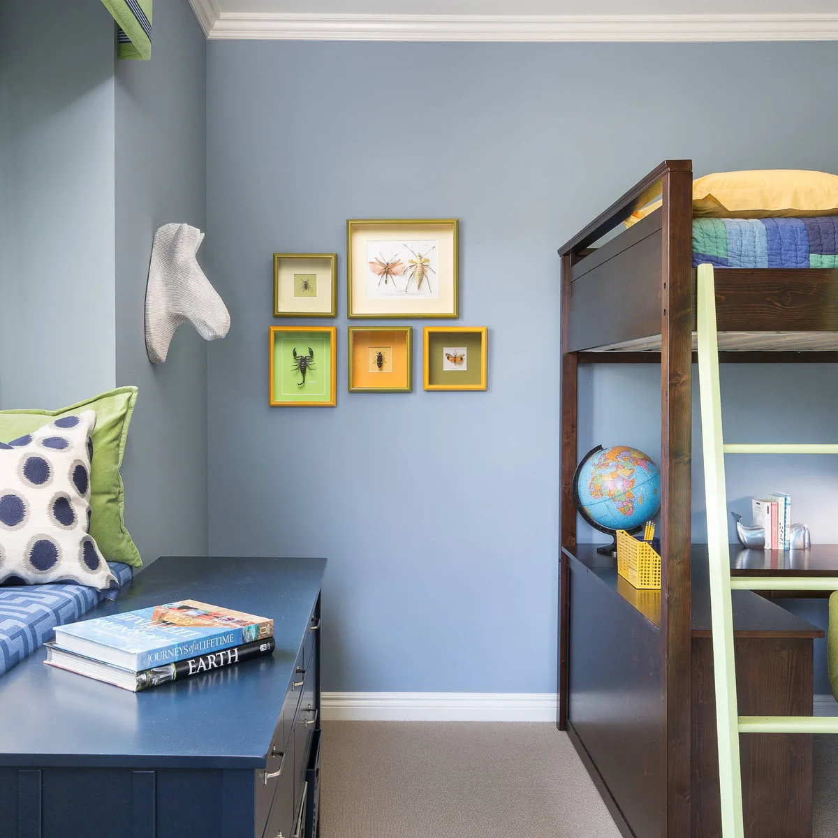 Dark wood loft with a green ladder and desk underneath beside a blue window bench and framed insect artwork.