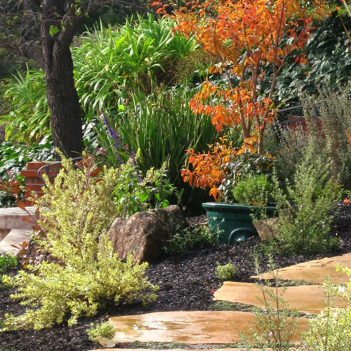 A mixed garden bed with dark mulch, broad stepping stones, contrasting foliage and one green glazed container holding a small tree.