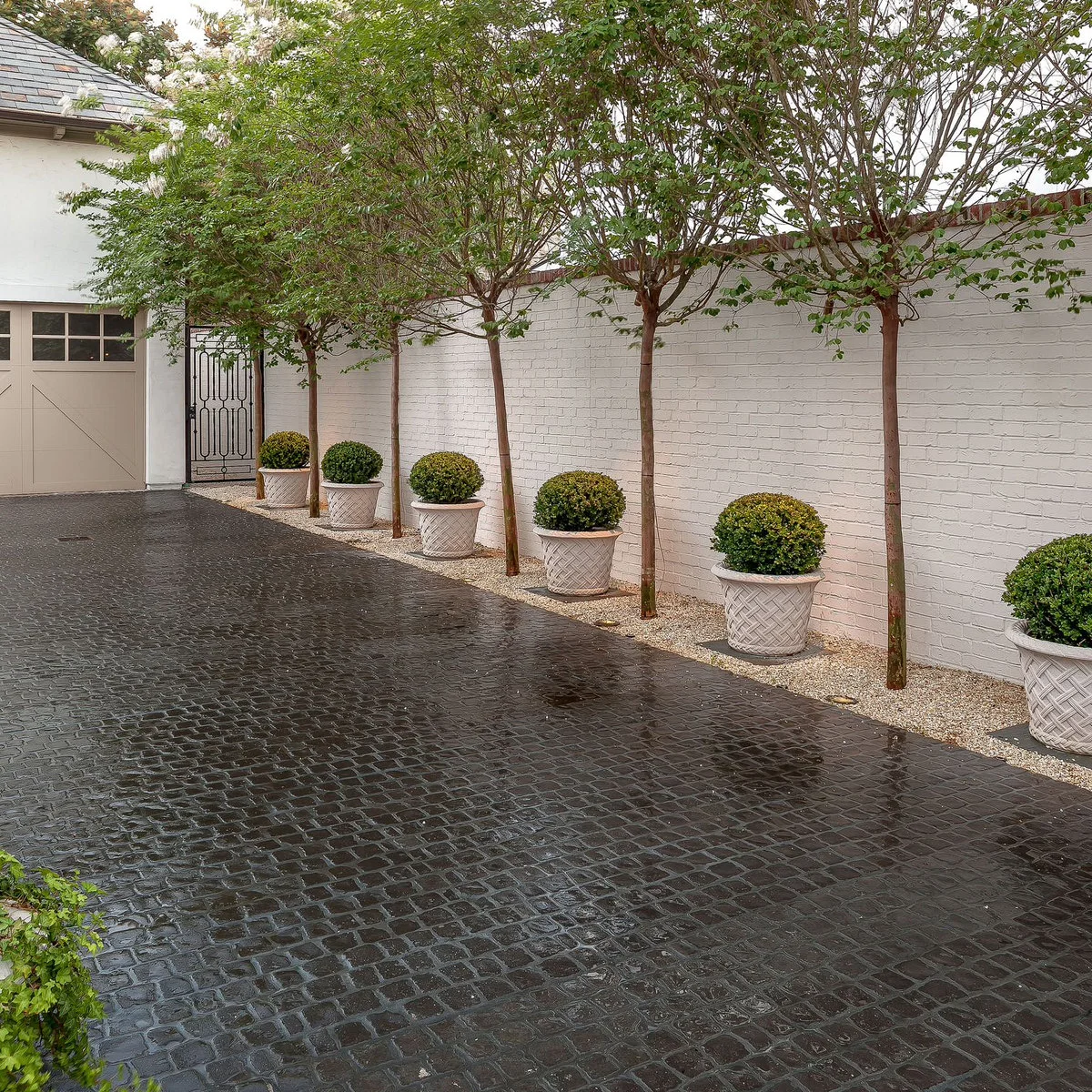 Dark paved driveway beside a white brick wall with a row of small trees and pale planted pots.