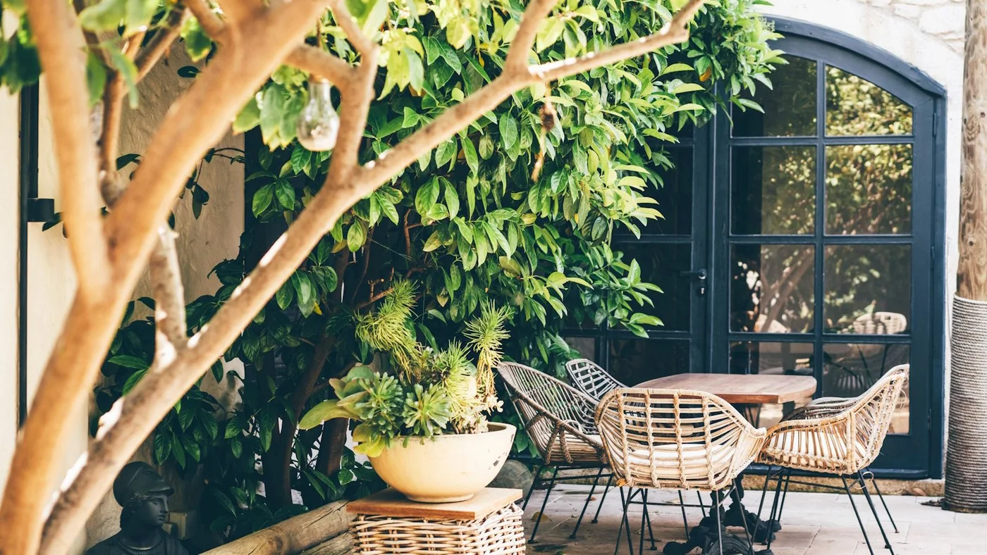 Open-weave chairs surround a small round table beneath leafy growth beside dark arched doors