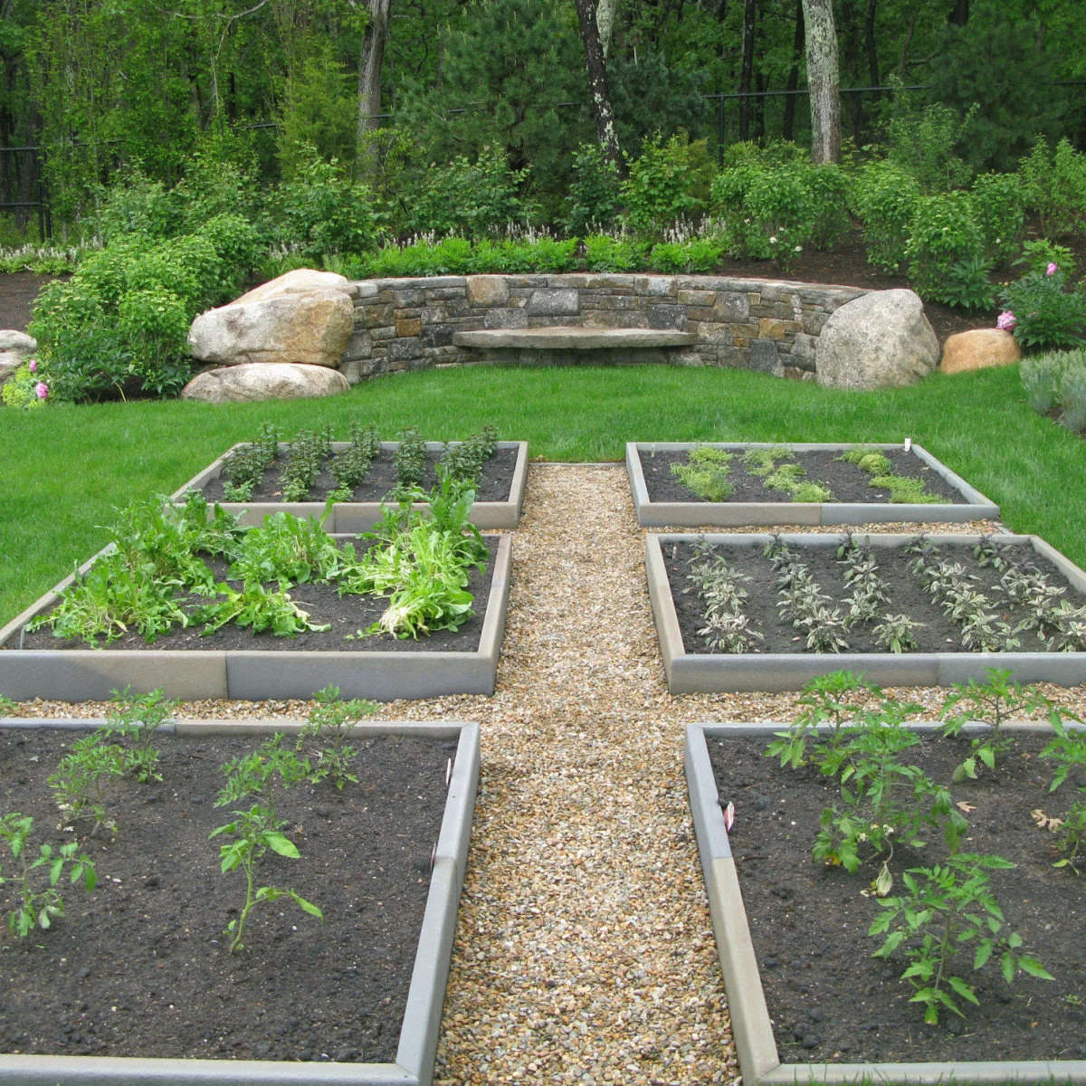 Six low rectangular vegetable beds beside a straight gravel path leading toward a stone garden bench.