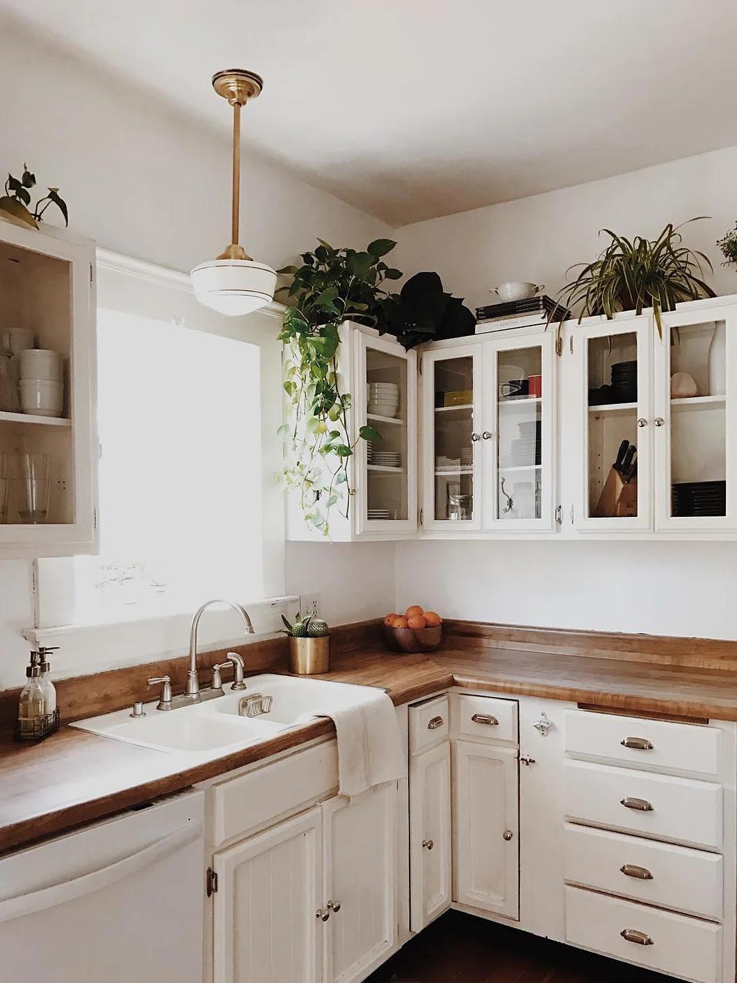 Green plants and a small stack of books above white glass-front kitchen cabinets beside a bright window and wood counter.