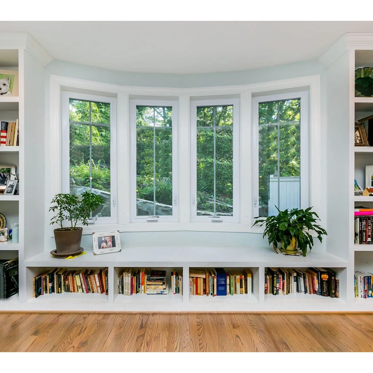A broad white ledge with two potted plants above open book cubbies beneath a curved row of windows.